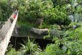 32 - Erst am 1. Juli 2011 wurde das Gondwanaland eroeffnet